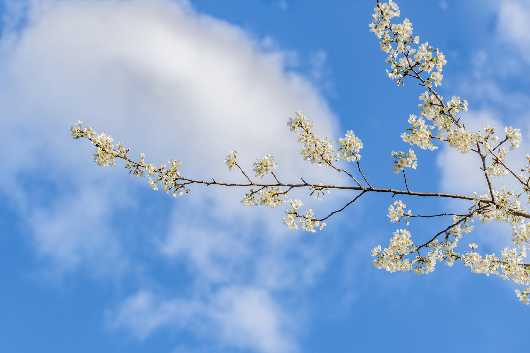 1775525532960815.jpg 0a6950a45411b35c8d497cb0141d9104.jpg